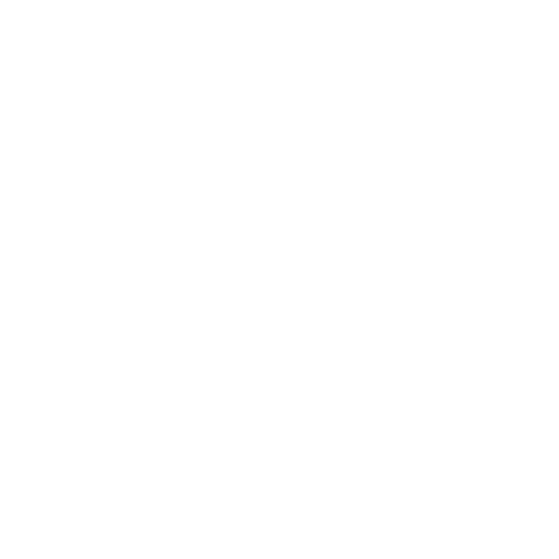 Country Authorized Patents